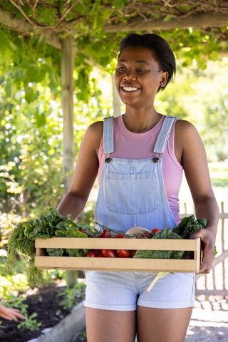 African young woman smiling carrying crate of fresh tomatoes and greens in sunny garden