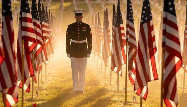 Standing u.s. Marine at attention among rows of american flags during golden hour