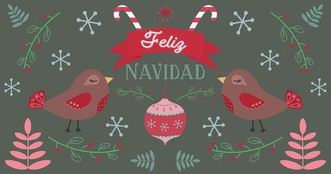 Festive Feliz Navidad Graphic with Birds and Holiday Decorations - Download Free Stock Images Pikwizard.com
