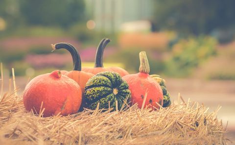 Rustic autumn decor with pumpkins and hay