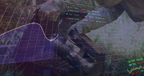 Beekeeper and Financial Analytics Merging Nature and Technology