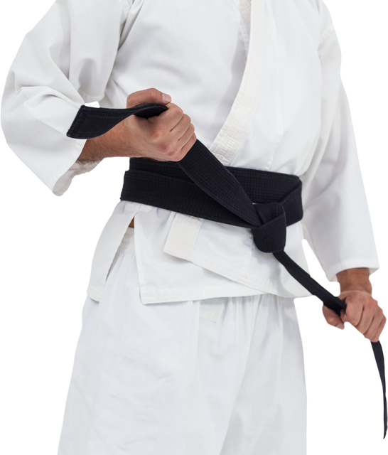 Transparent Martial Artist Adjusting Black Karate Belt - Download Free Stock Videos Pikwizard.com