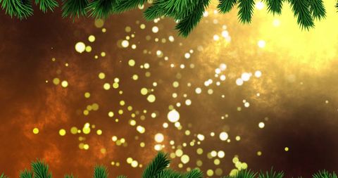 Christmas Tree Branches Over Golden Bokeh Lights Background