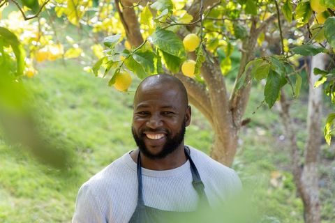 Smiling african american gardener standing beneath lemon tree in sunlit backyard orchard