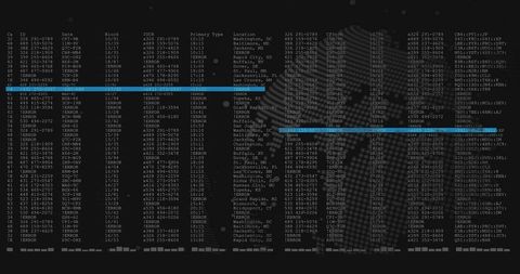 Displaying terminal-style monospaced data columns with cyan highlight bars on dark monitor