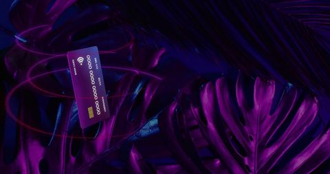 Credit Card Hovering in Neon Palm Leaves for Modern Tech - Download Free Stock Images Pikwizard.com