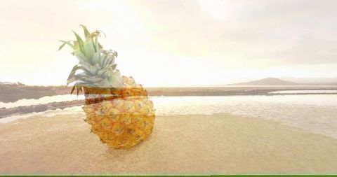 Glistening pineapple at tropical shoreline during sunset