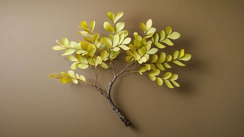 Minimalist branch display with light green and yellow leaves