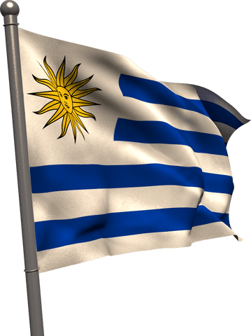 Transparent waving uruguayan flag festive celebration