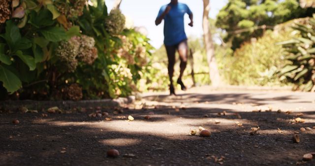 Jogging in Nature's Blissful Pathway on Sunny Day - Download Free Stock Images Pikwizard.com