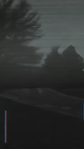 Vertical VHS-style forest drive at dusk with flickering scanlines and glitchy atmosphere