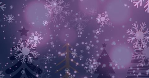 Snowflakes falling over christmas trees on winter night