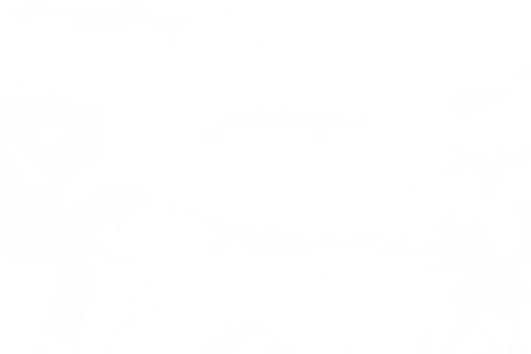 Geometric Triangle Network on Transparent Background - Download Free Stock Videos Pikwizard.com