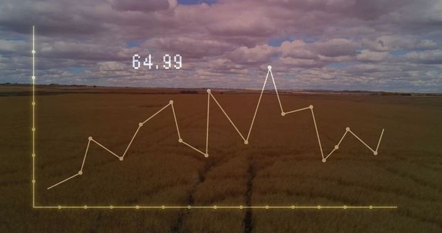 Data Analytics Overlay on Rural Wheat Field Drone View