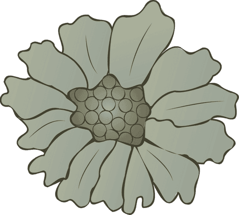 Stylized Green Flower on Transparent Background Digital Illustration