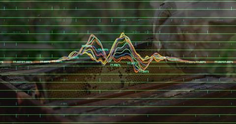 Graph Overlay on Beekeeping Activity in Natural Setting