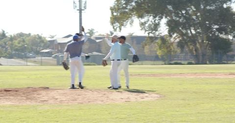 Diverse male baseball teammates celebrating on pitcher's mound at sunny community park