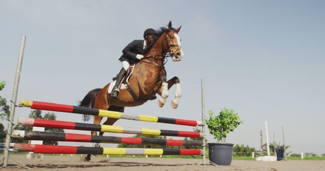 Equestrian Show Jumping with Rider and Horse Clearing Barrier - Download Free Stock Images Pikwizard.com