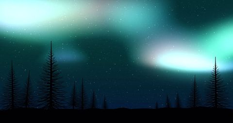 Aurora Borealis Shimmering Over Fir Tree Silhouettes at Night - Download Free Stock Images Pikwizard.com