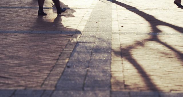 People Walking on Brick Path during Sunset - Download Free Stock Images Pikwizard.com