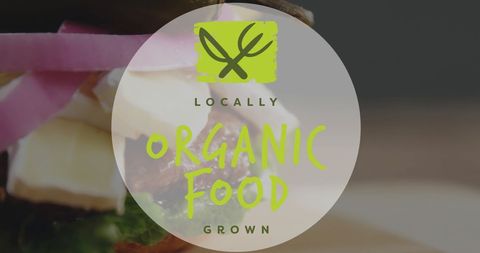 Locally Grown Organic Burger with Fresh Vegetables Close-Up - Download Free Stock Images Pikwizard.com