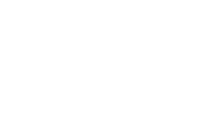 Transparent Silhouette of Male Fencer in Action Pose - Download Free Stock Videos Pikwizard.com