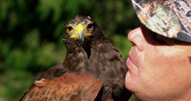 Hunter with Trained Hawk in Vibrant Outdoor Setting - Download Free Stock Images Pikwizard.com