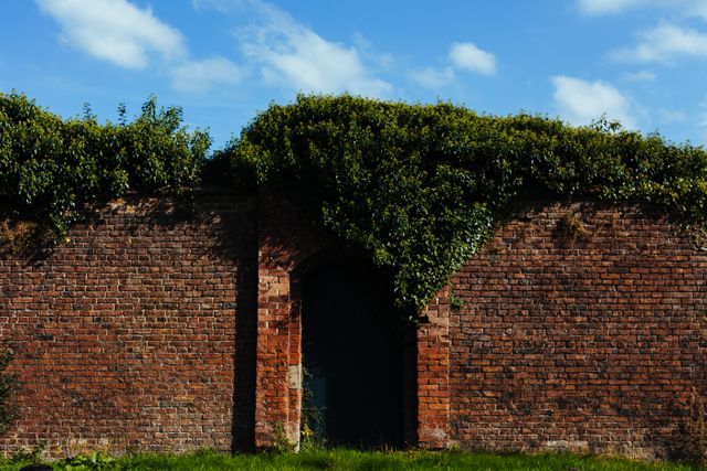 Historic brick wall covered in creeping plants creates picturesque rustic scenery. Use for themes involving abandoned places, natural growth, historical structures, or scenic rural landscapes.