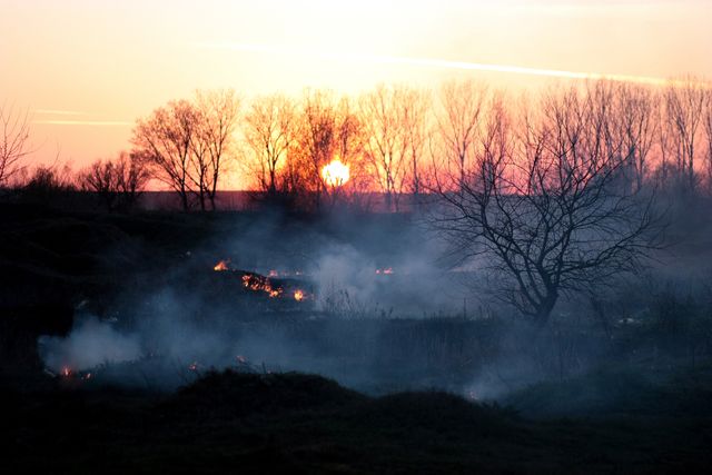 Smoke Rising from Fires in Landscape at Dusk - Download Free Stock Photos Pikwizard.com