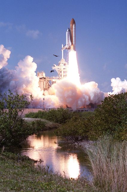 Space Shuttle Endeavour launching on STS-99 from Kennedy Space Center - Download Free Stock Photos Pikwizard.com