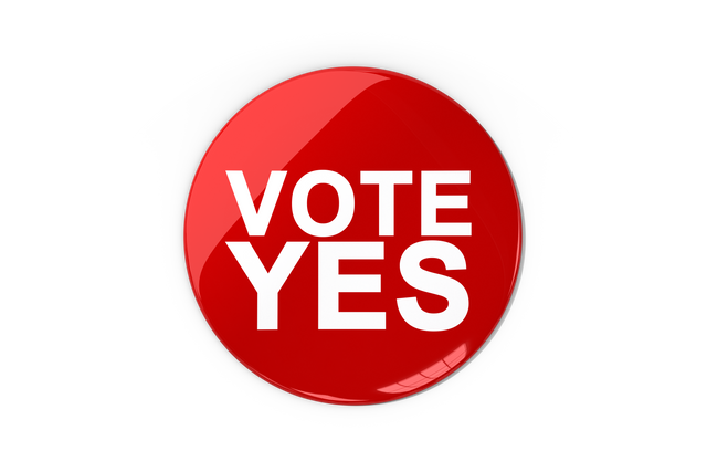 Red Vote Yes Button on Transparent Background - Download Free Stock Videos Pikwizard.com