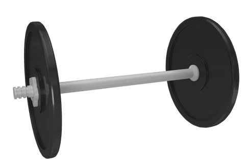 Dumbbell with weights on transparent background vector png