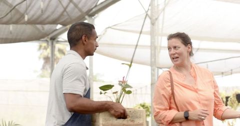 Man and Woman Exchanging Plant in Greenhouse Nursery Setting