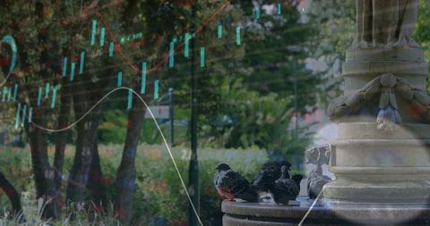 Pigeons resting on fountain with overlayed financial data graphics
