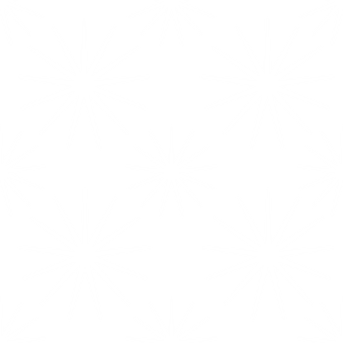seamless white starburst pattern on transparent background - Download Free Stock Videos Pikwizard.com