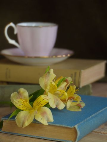 Vintage still life scene with books and tea cup