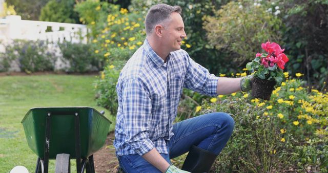 Man Planting Flowers in Garden on a Sunny Day - Download Free Stock Images Pikwizard.com