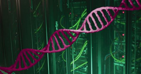 DNA Strand and Data Servers: Merging Biology and Technology - Download Free Stock Images Pikwizard.com