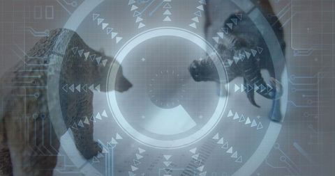 Futuristic Bull and Bear Multi-Curve Concept