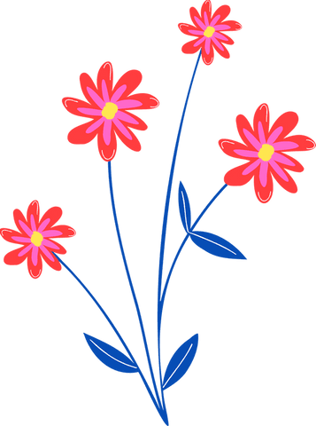 Vector daisies with red and pink petals on transparent background