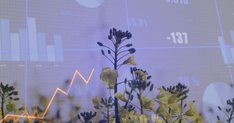 Floral growth with financial data overlay illustrating agricultural success