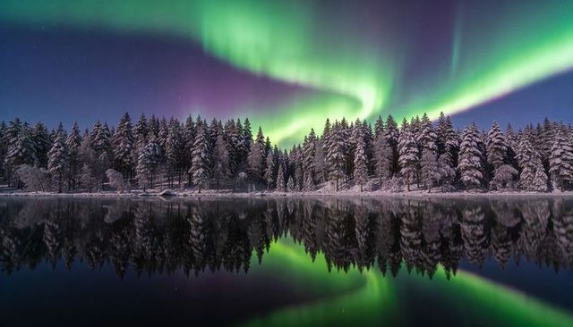 Northern lights swirling over snow-covered pine forest reflecting on glassy lake at night