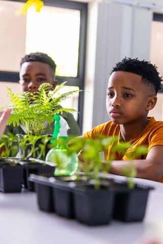African american boys learning gardening in classroom, watering seedlings and ferns