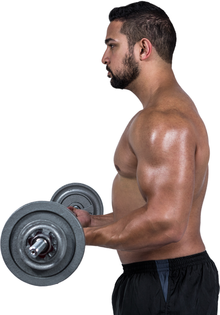 Transparent Background Muscular Man Lifting Barbell Side View - Download Free Stock Videos Pikwizard.com