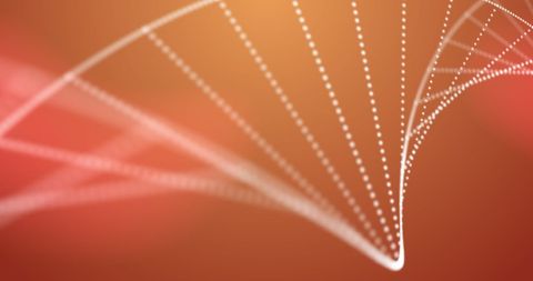 Abstract Digital Curves on Vibrant Gradient Backdrop - Download Free Stock Images Pikwizard.com