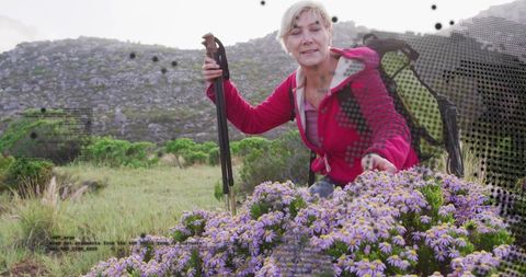 Mature woman hiking and touching purple wildflowers in mountain meadow with backpack