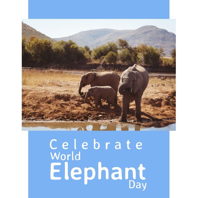Digital composite image of elephants by lake with celebrate world elephant day text. Awareness, animal, wildlife, preservation and protection of elephants concept.