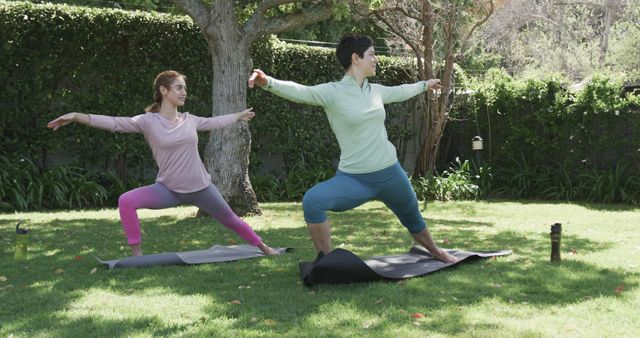 Women Practicing Yoga Outdoors - Download Free Stock Images Pikwizard.com