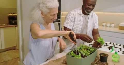 Senior Couple Repotting Seedlings at Modern Kitchen Island