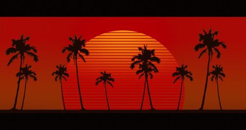 Tropical Sunset Silhouette with Vibrant Red Sky - Download Free Stock Images Pikwizard.com
